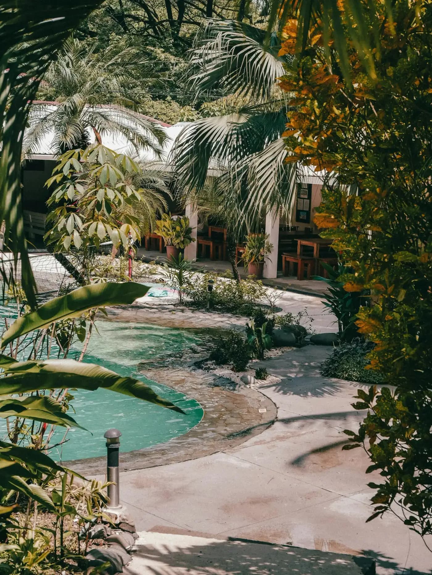 La piscine entourée de verdure