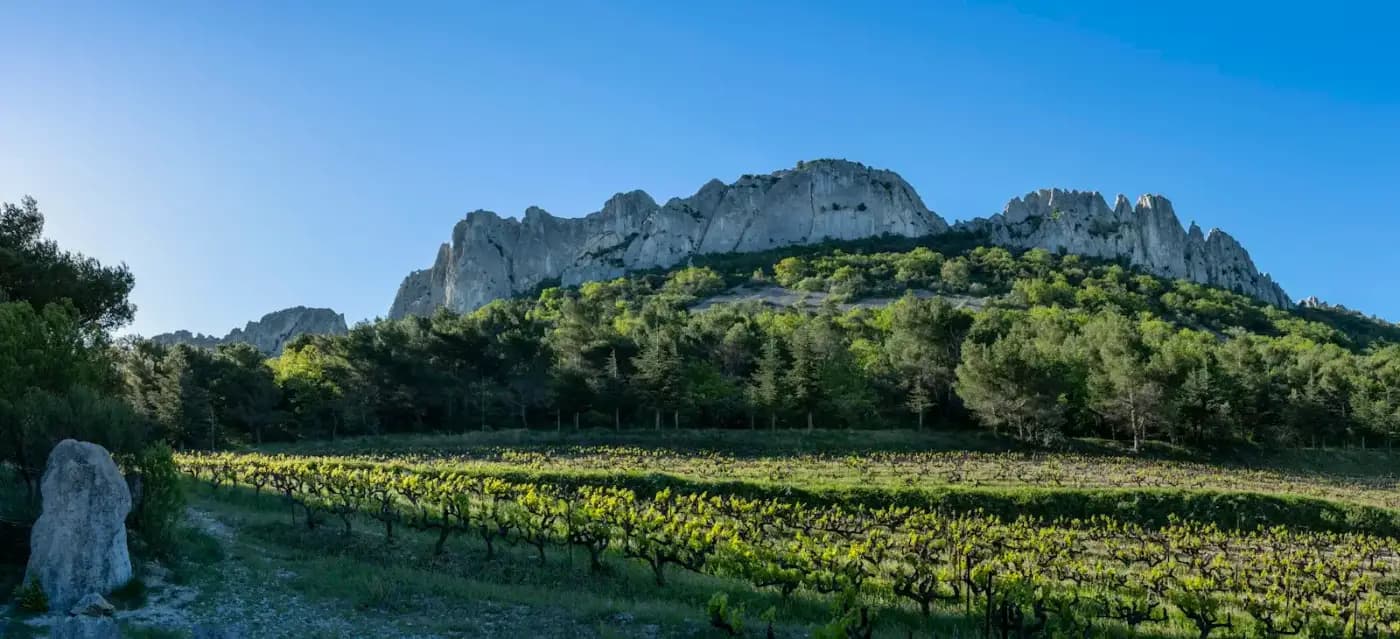 Exemple de site : Domaine de la Combe d’Aurore, domaine viticole (démonstration)