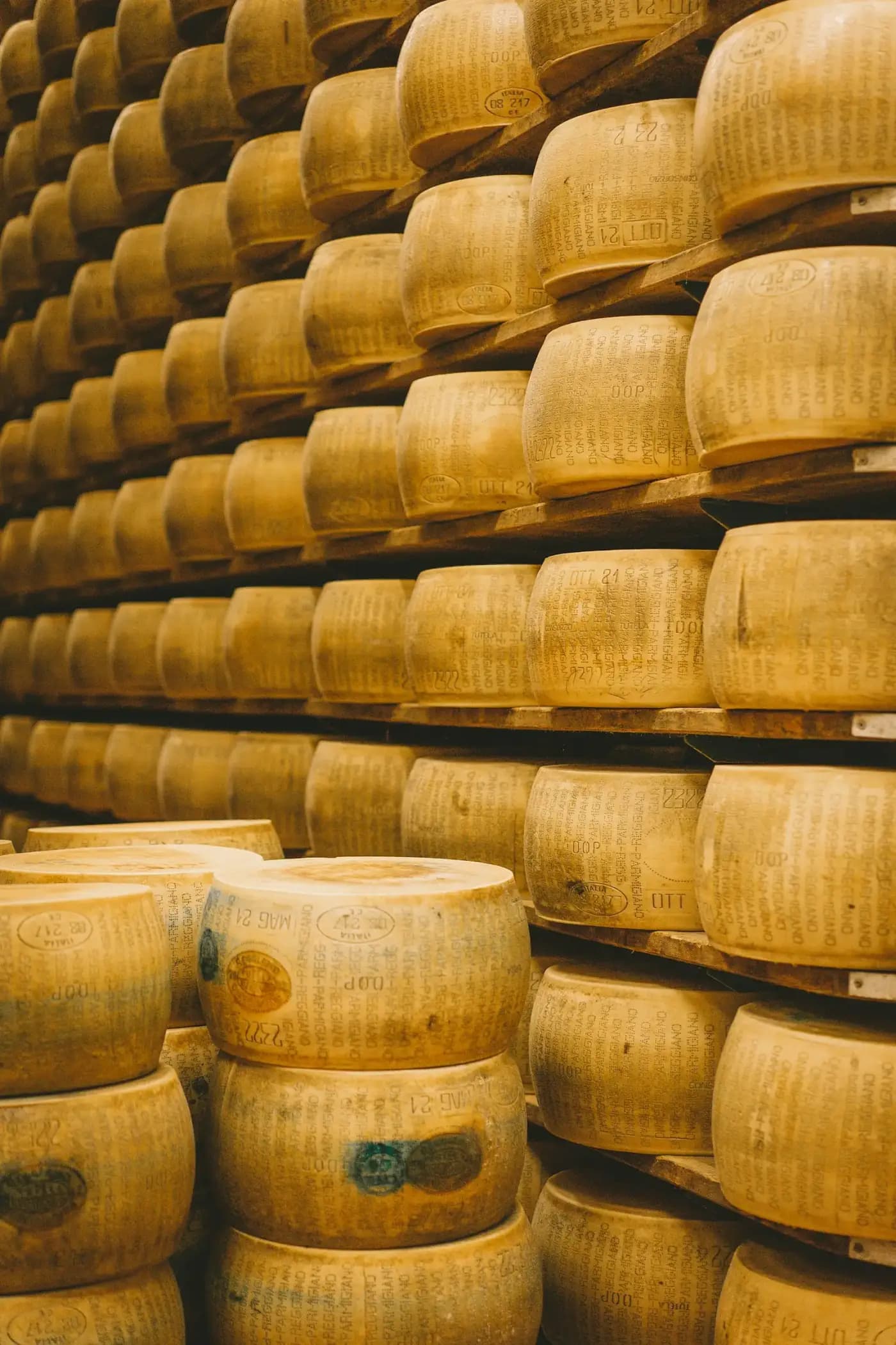 Les fromages en cave d’affinage