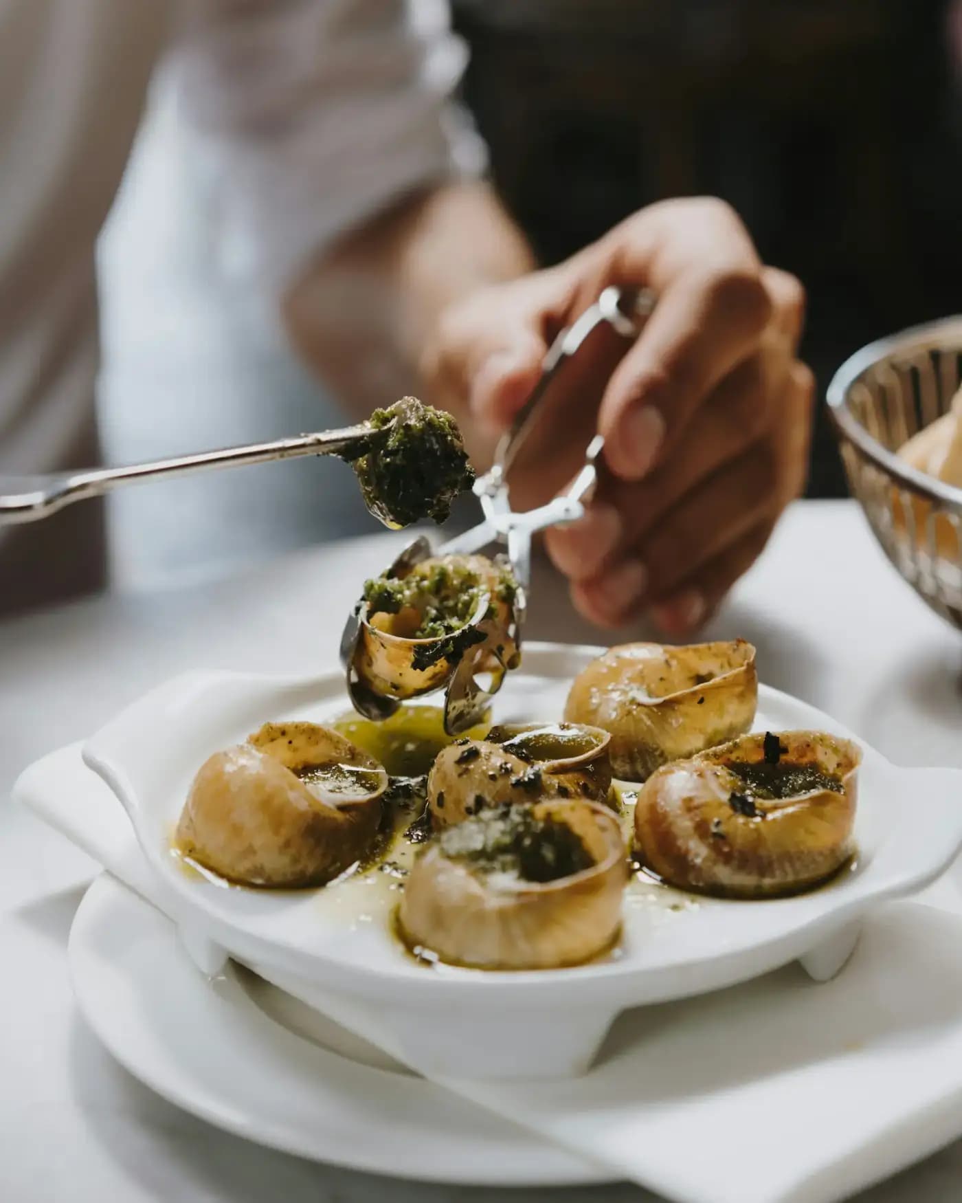 Escargots en persillade
