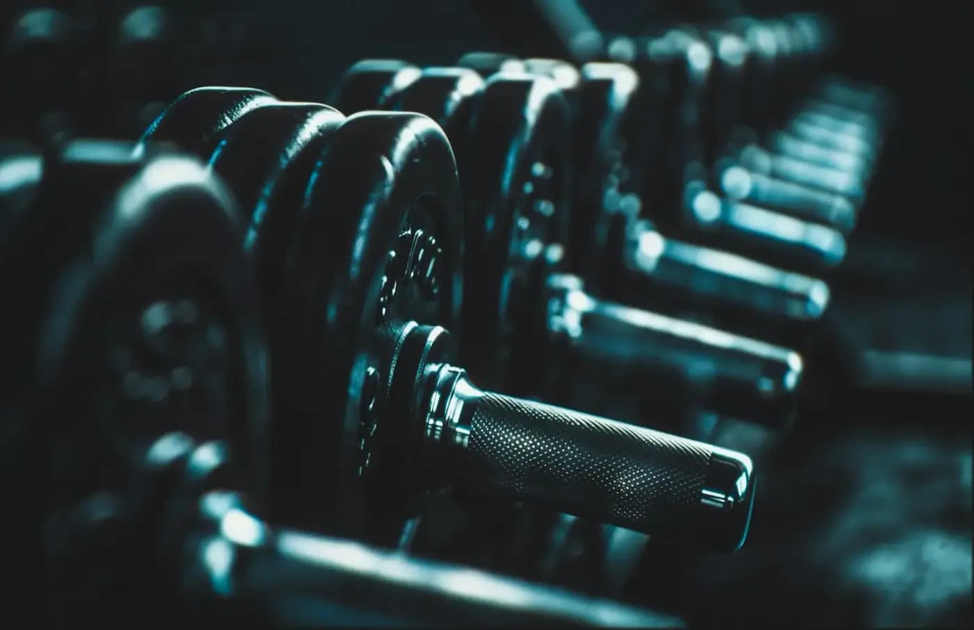 L’espace musculation